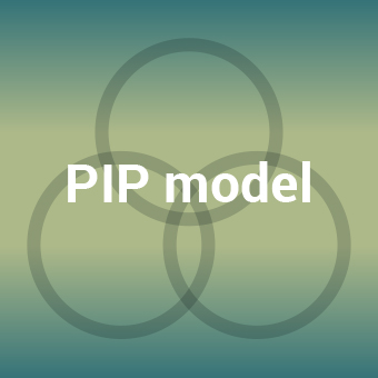 PIP model